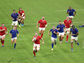 Coupe du Monde de Rugby 2023 - Lyon Ville Hôte