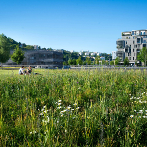 Confluences, jardins aquatiques © Laurence Danière - Métropole de Lyon
